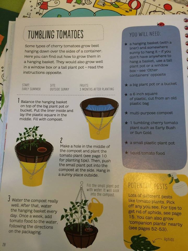 Gardening for Beginners5
