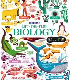 Usborne Lift-the-Flap Biology - Usborne Books & More